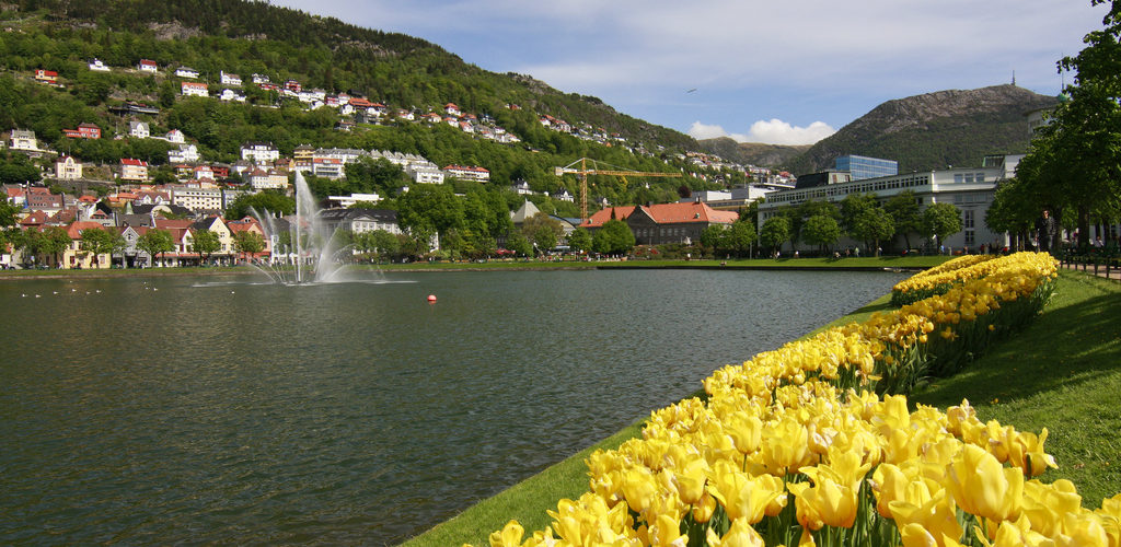 Lille Lungegårsvannet, a small lake in the city centre of Bergen.